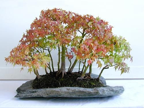 DSCN0022_sm.jpg